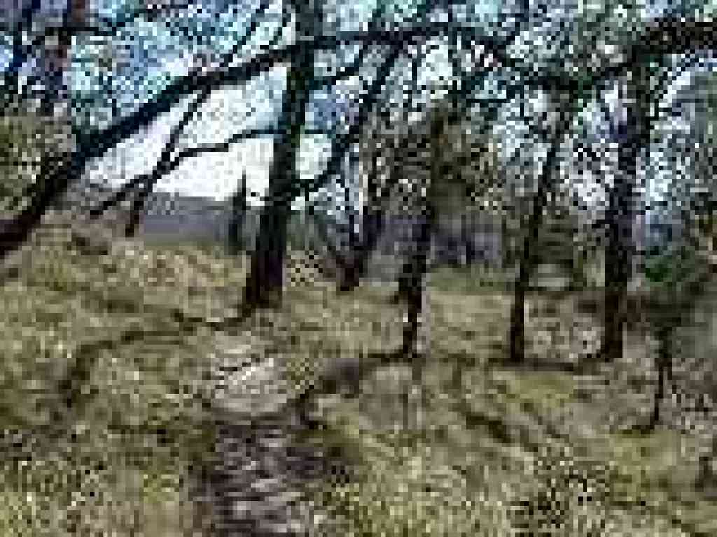 Under oaks