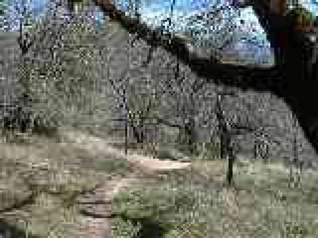 Junction