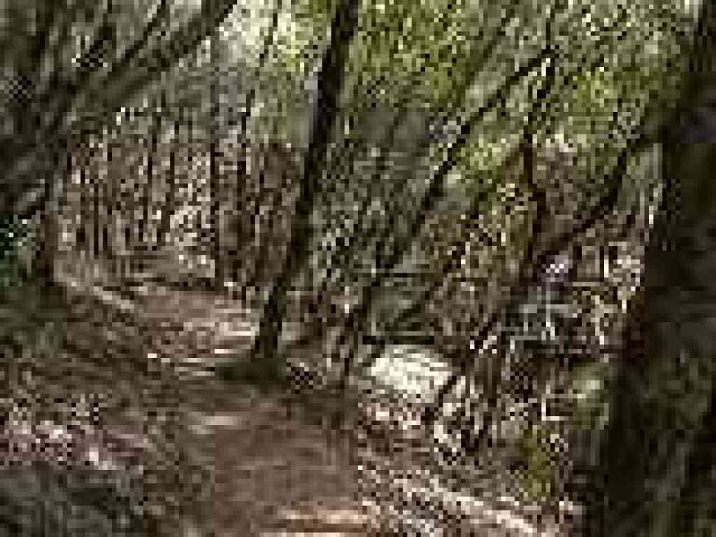 Bays, bench, and bridge