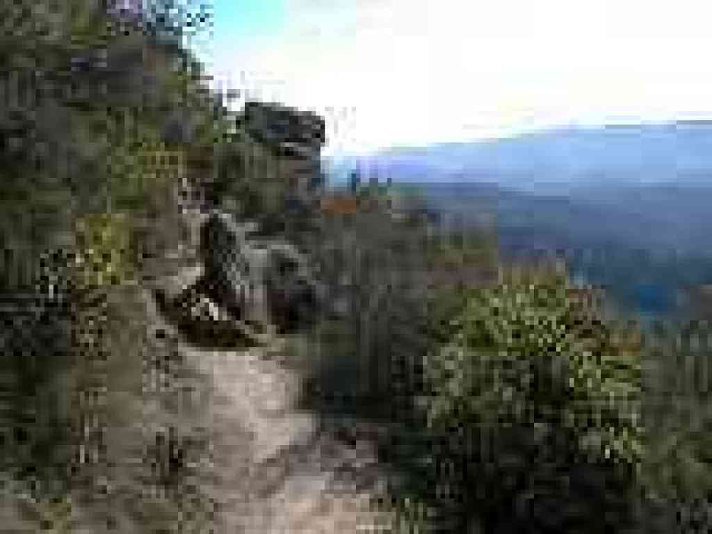 Saratoga Gap Trail