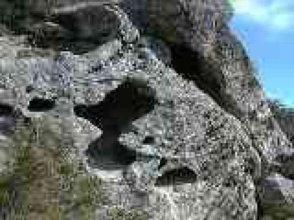 Tafoni