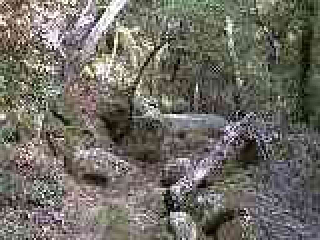 Rocky, maze-like section