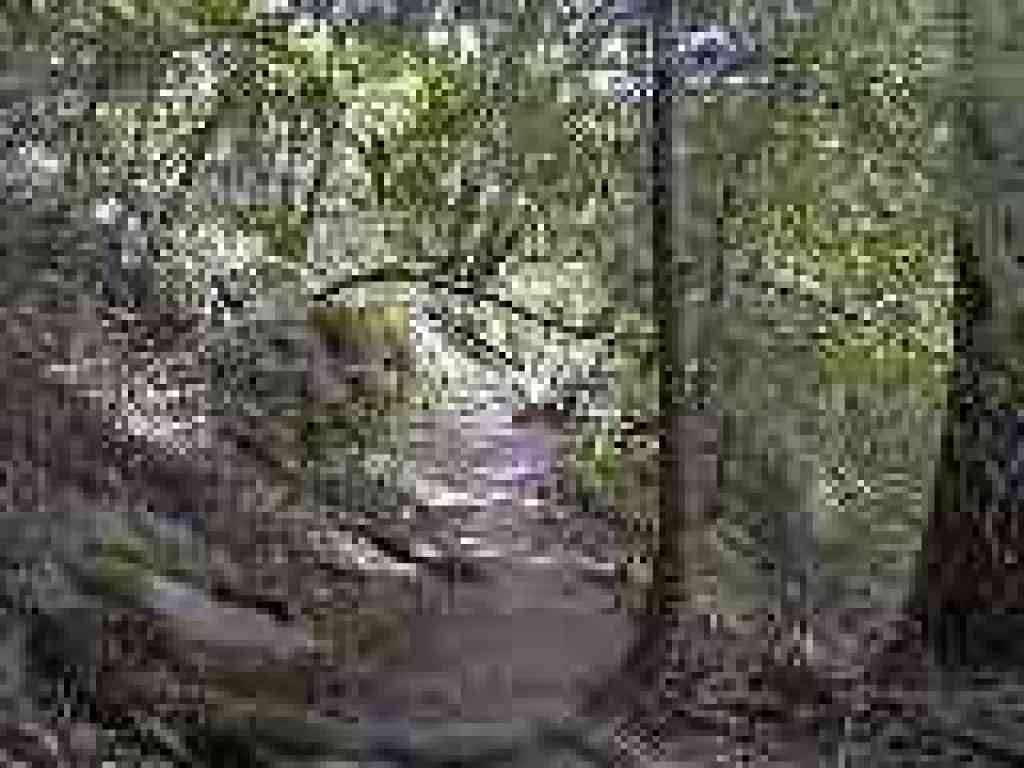Saratoga Gap Trail