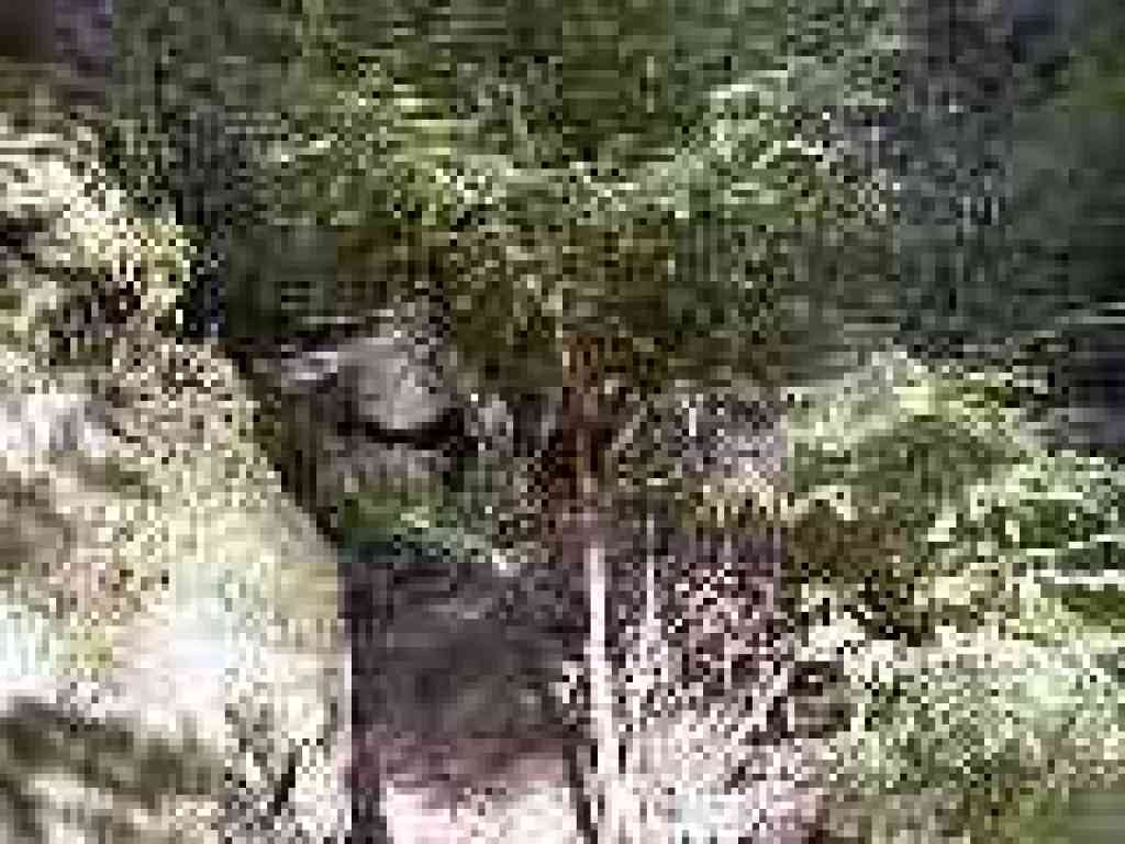 More boulders crowd the trail