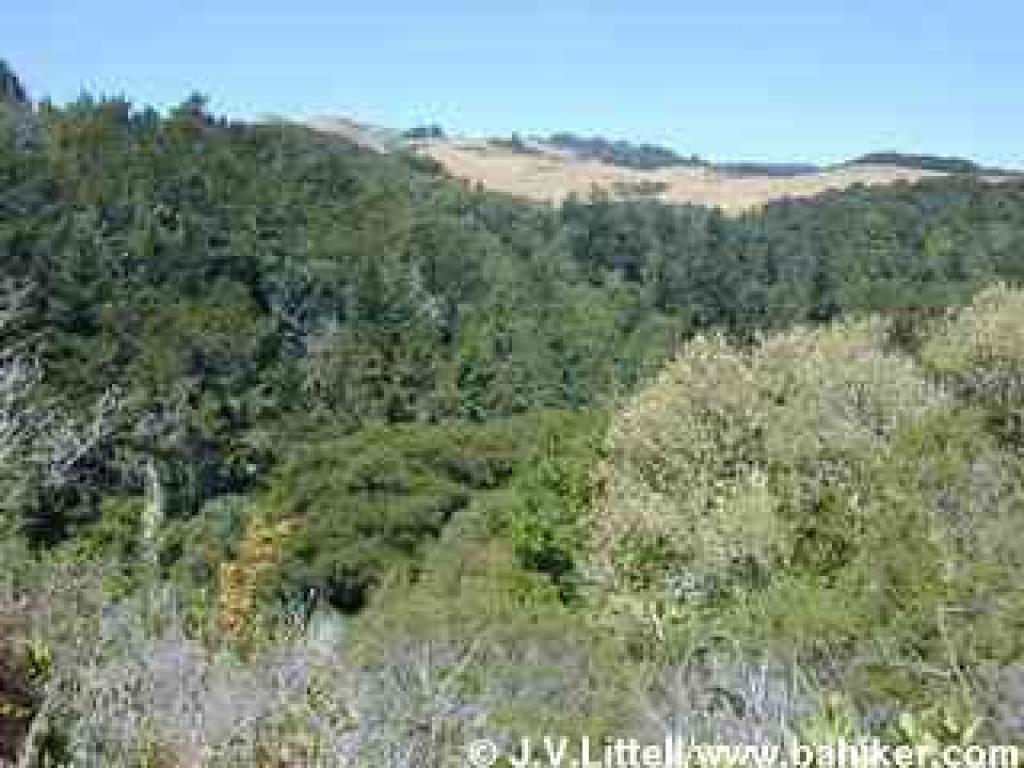 View west to Windy Hill