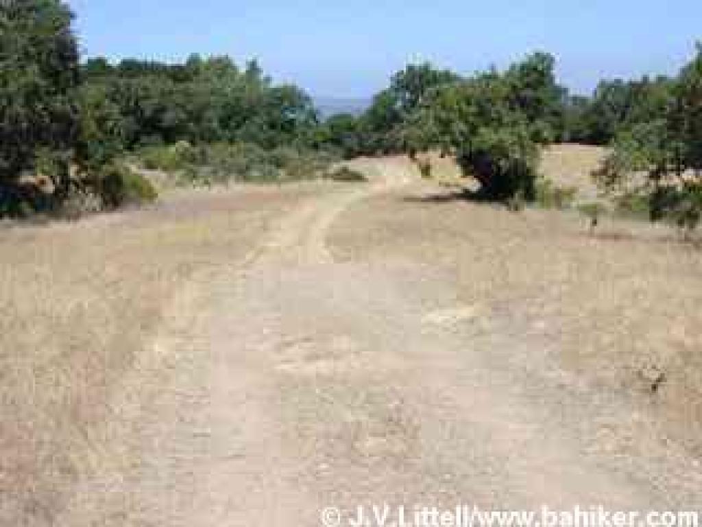 Old Spanish Trail