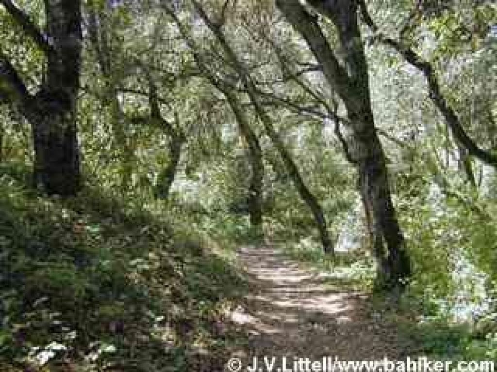 Old Spanish Trail