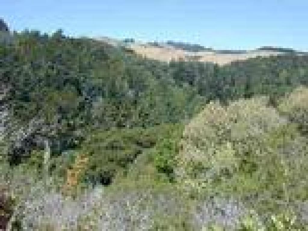 View west to Windy Hill