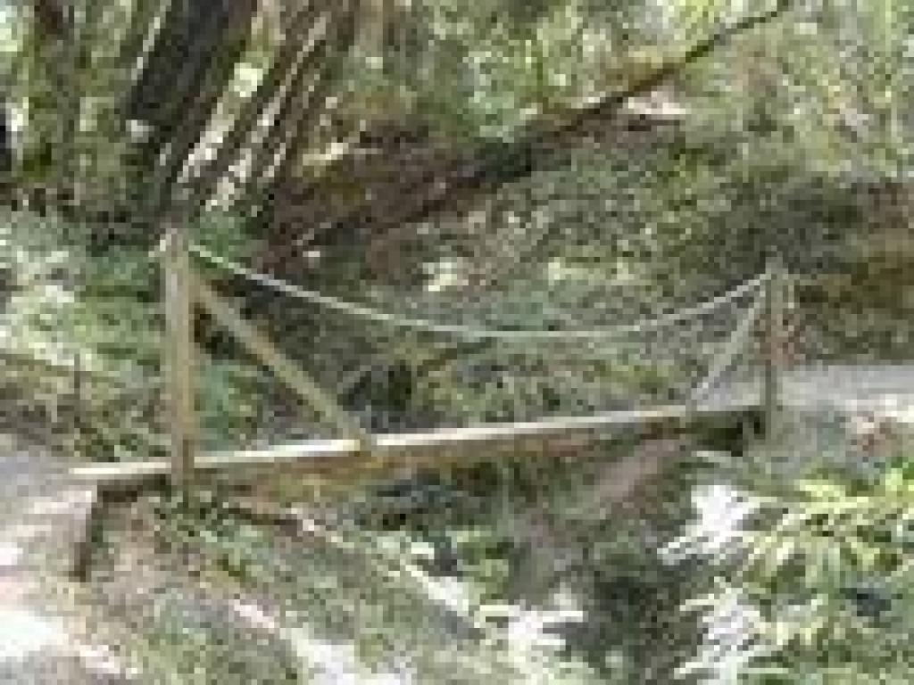 Rustic bridge