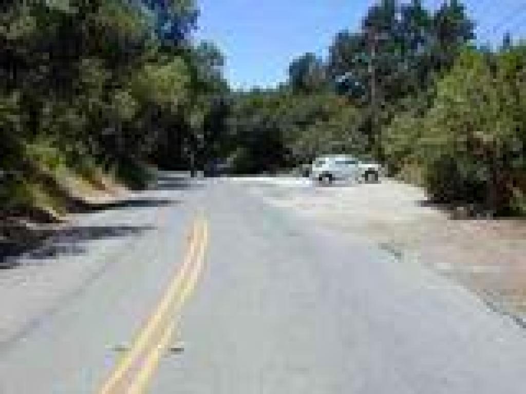Side of street parking on Alpine Road
