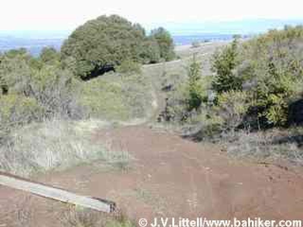 Meadow Trail
