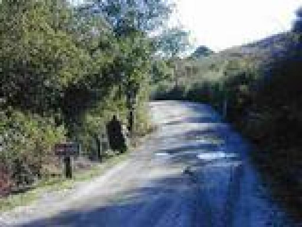 Downhill