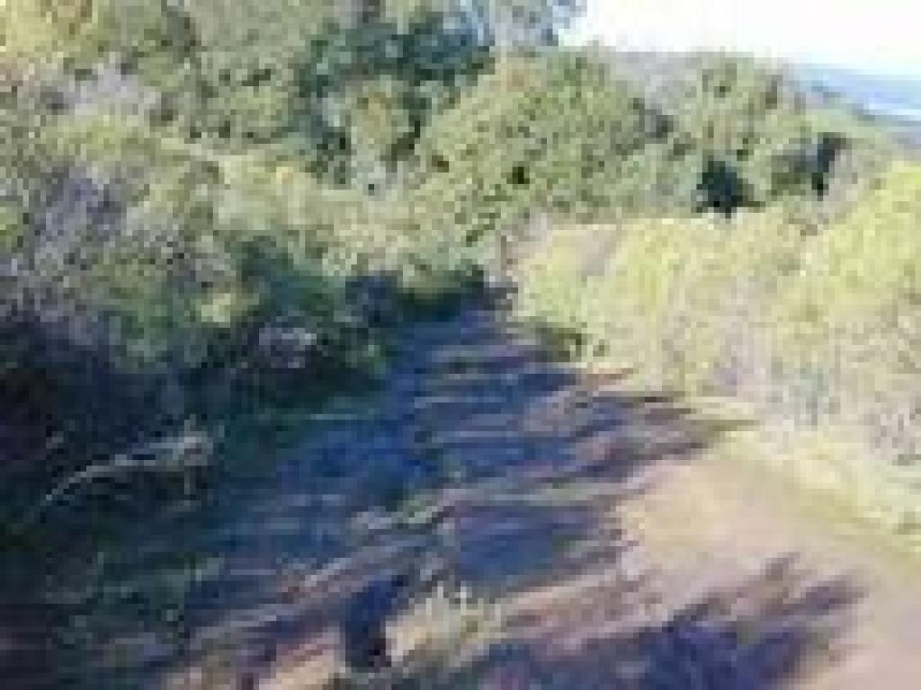 Rutted section