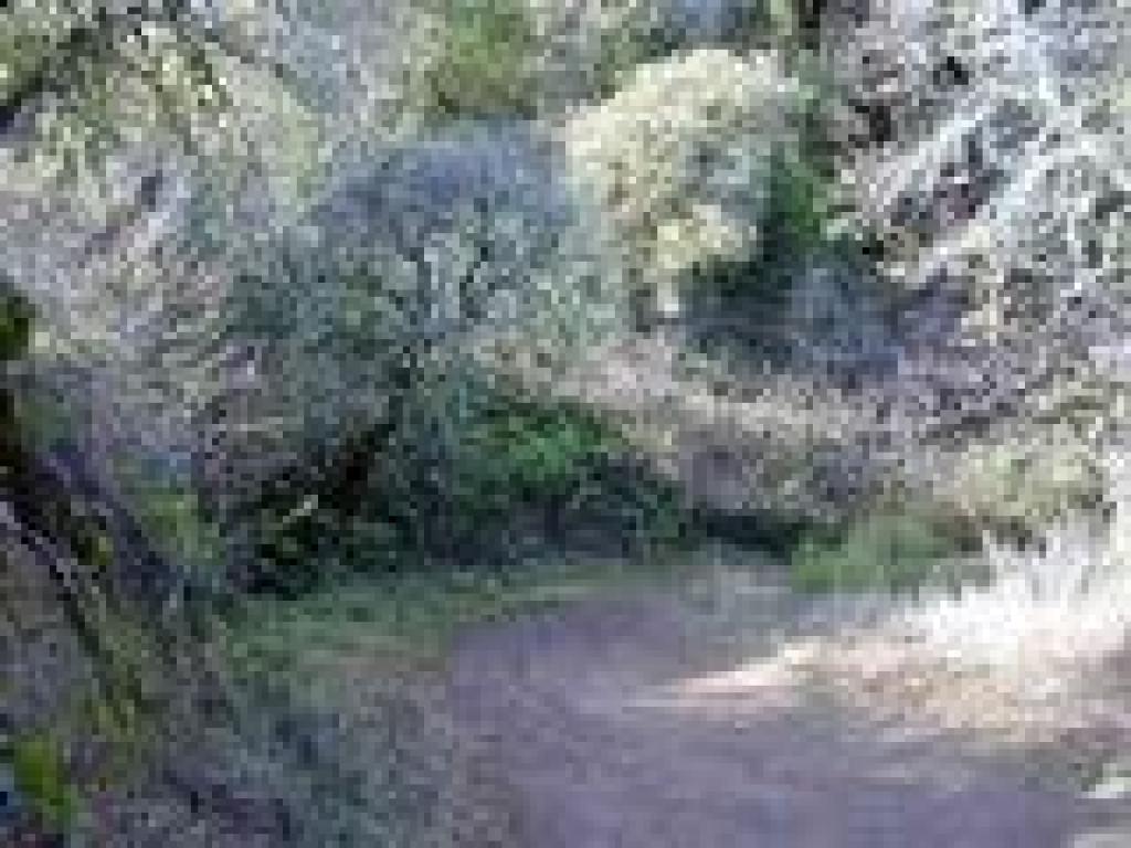 Alpine Road