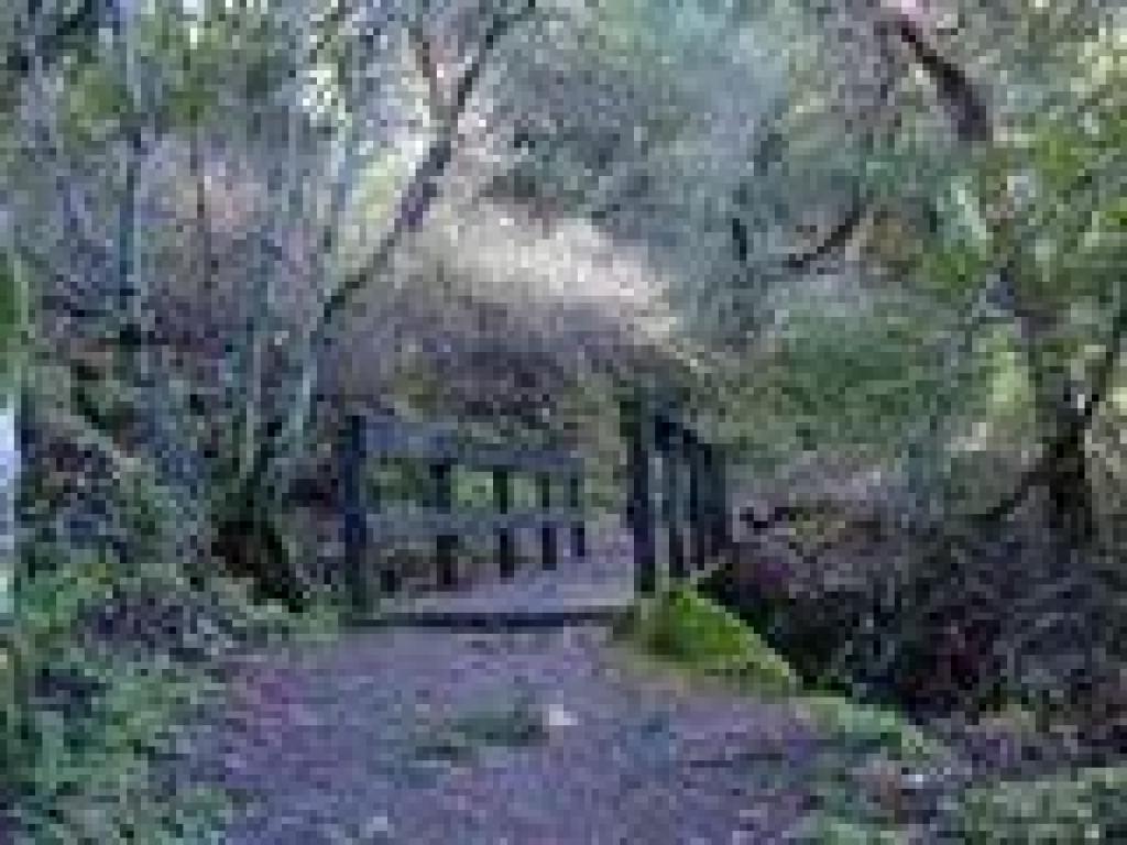 Bridge