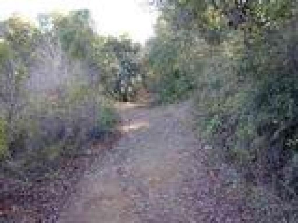 Back on Alpine Road