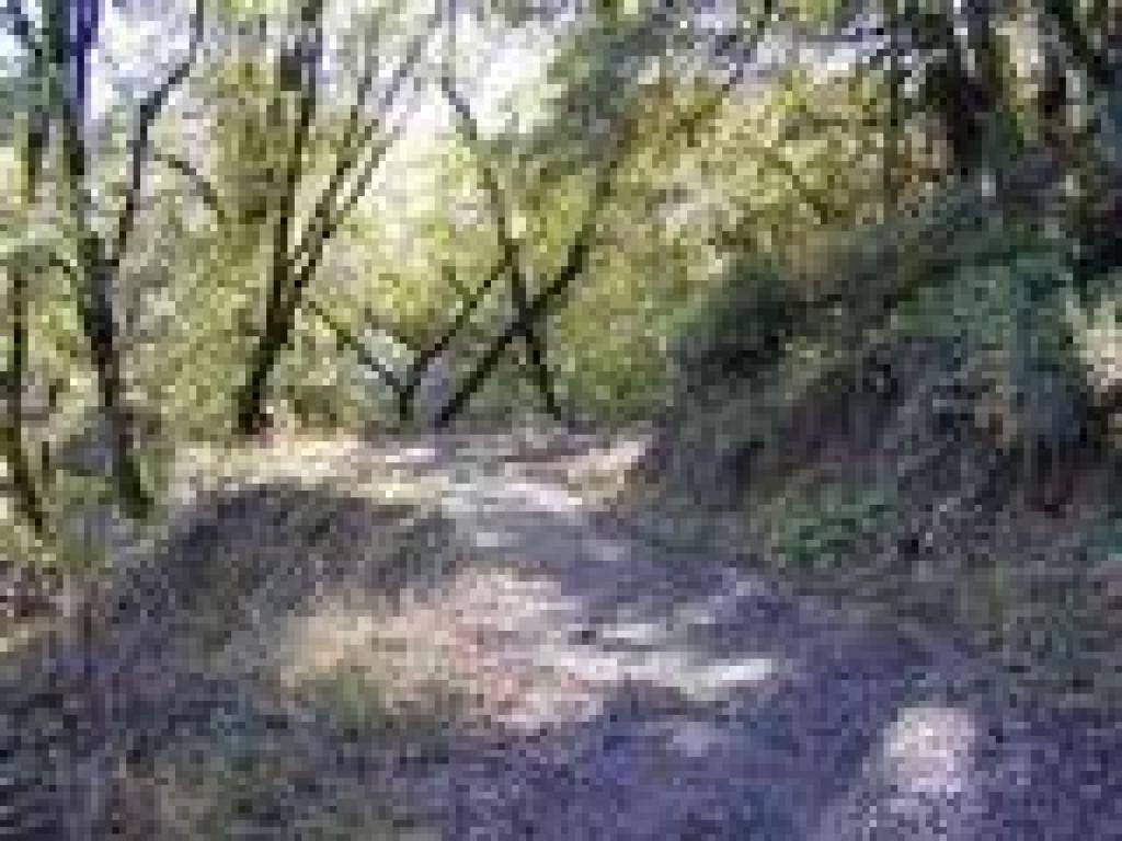 Alpine Road