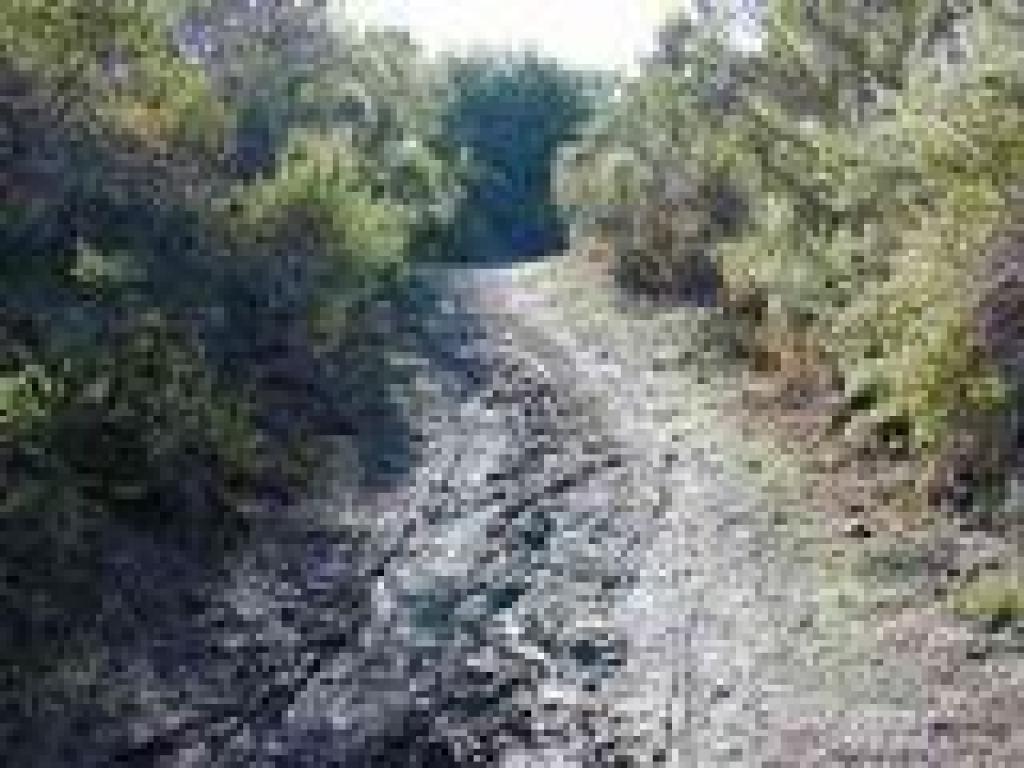 Muddy