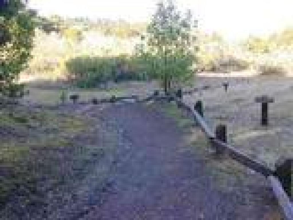 Junction