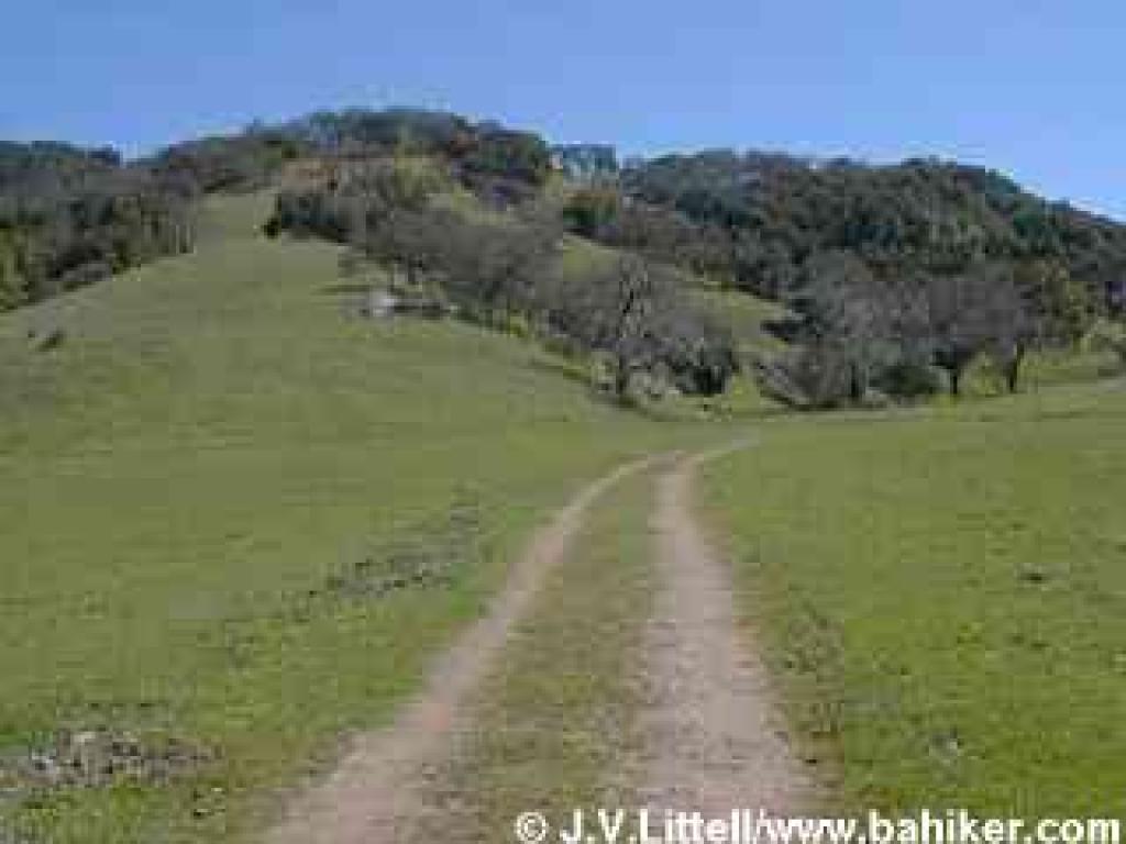Hunting Hollow Road