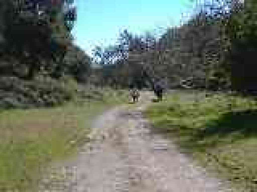 Hunting Hollow Road