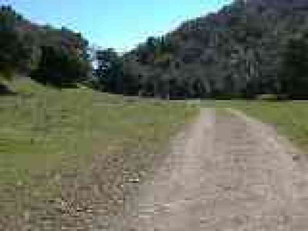 Trail passing through a meadow