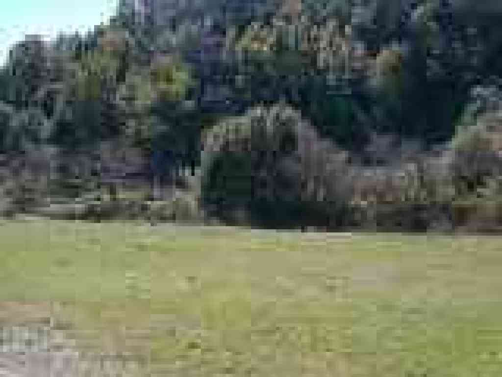 Windmill