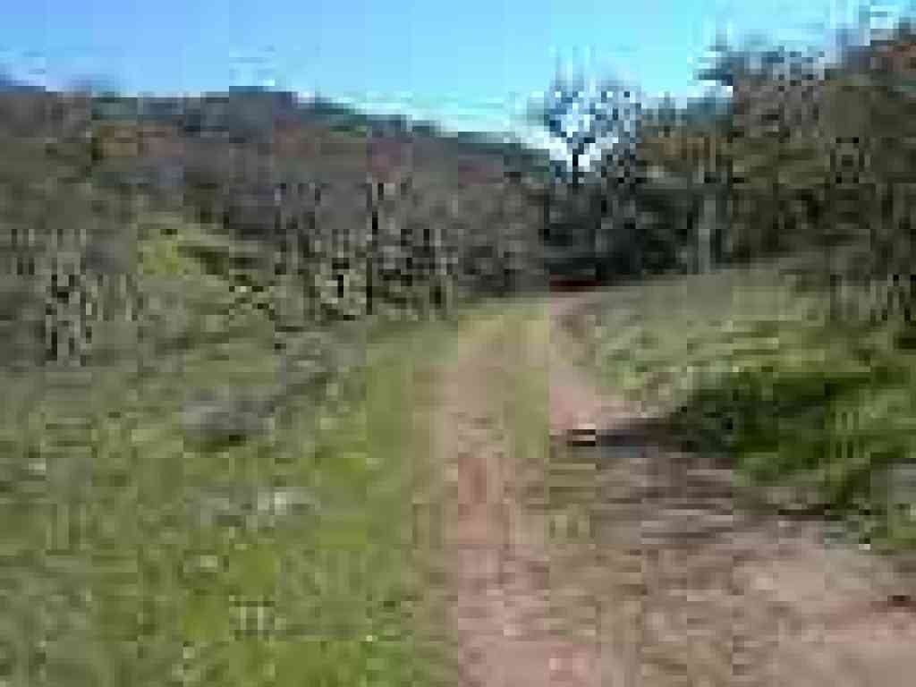 Hunting Hollow Road