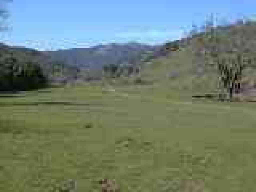 A view on the return