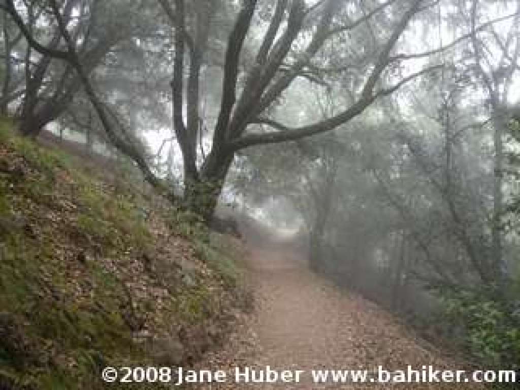 Canyon Trail