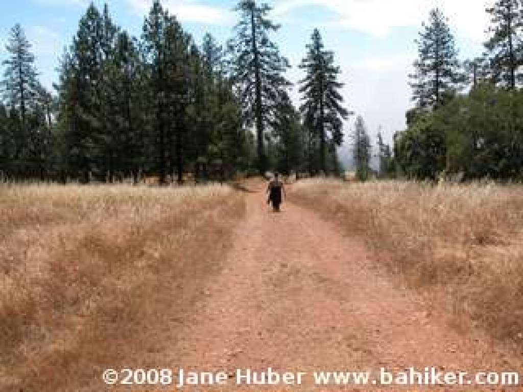 Hobbs Road