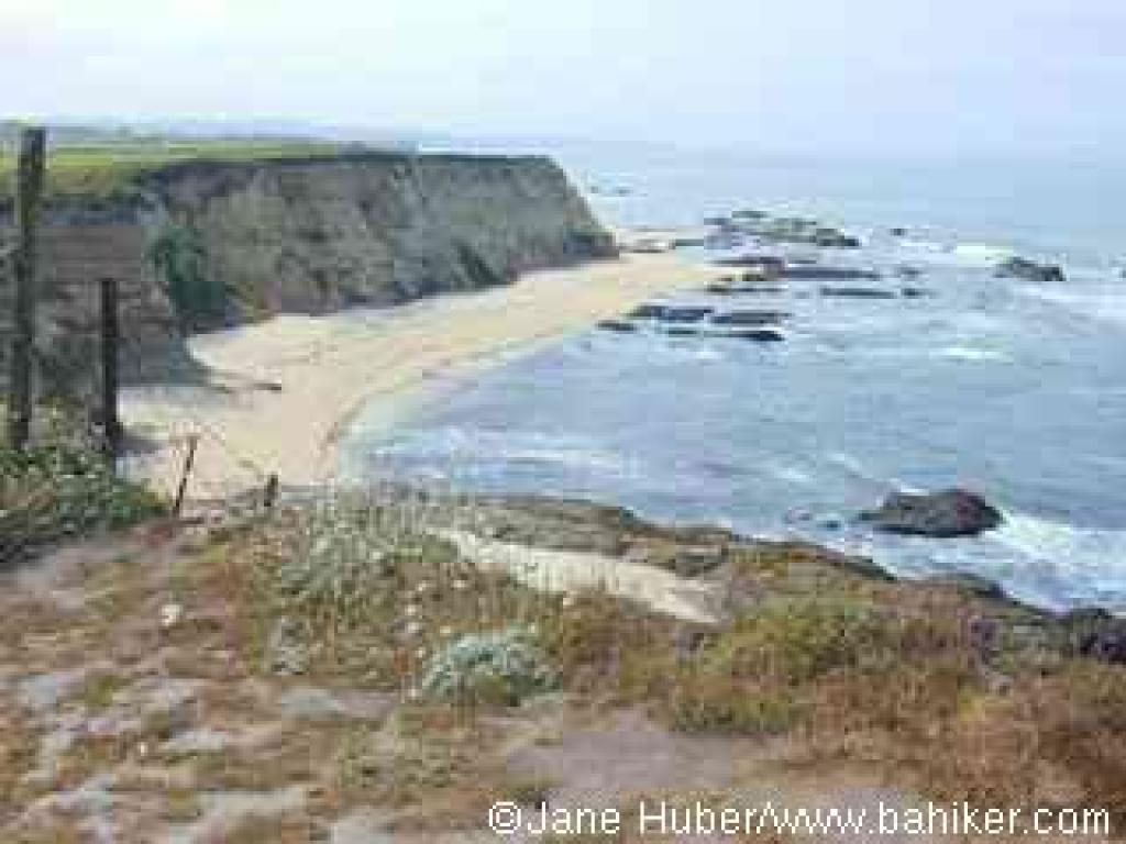 View south to the harbor seal preserve