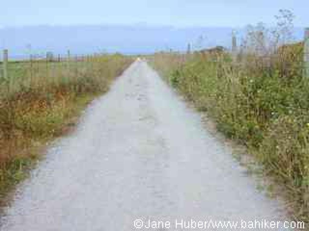 Trail