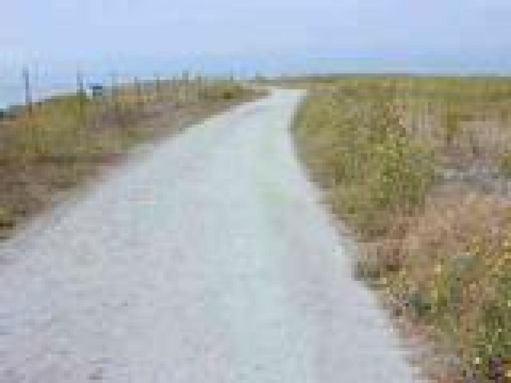 Trail