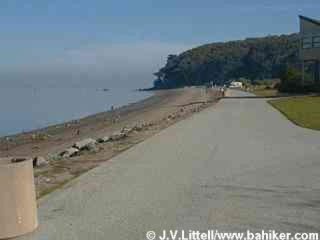 Shoreline at Coyote Point