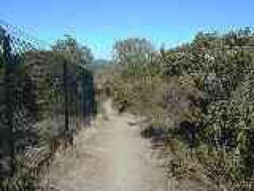 Crystal Springs Trail