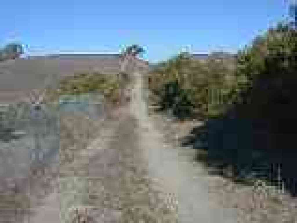Grassland to the left