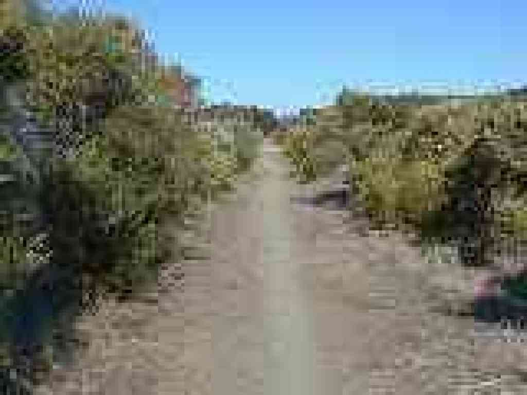 Crystal Springs Trail
