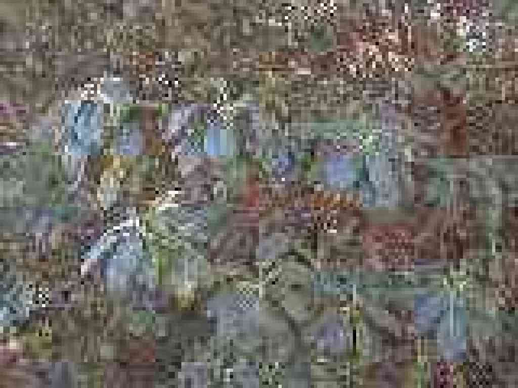 Madrone