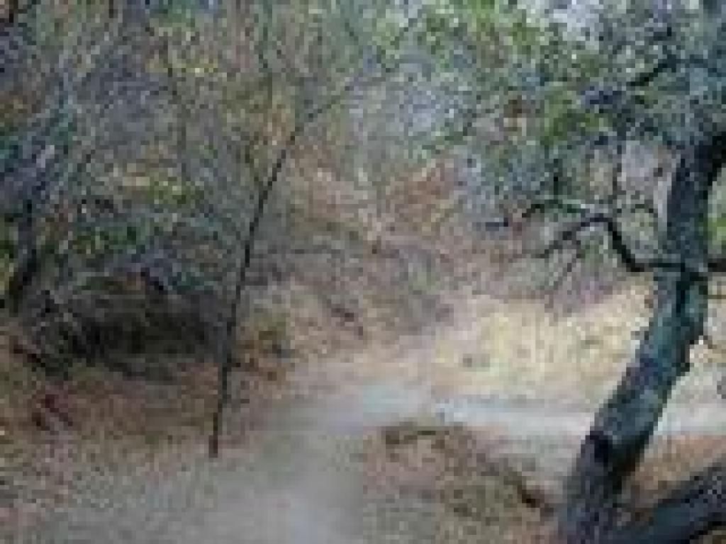 Eaton Trail