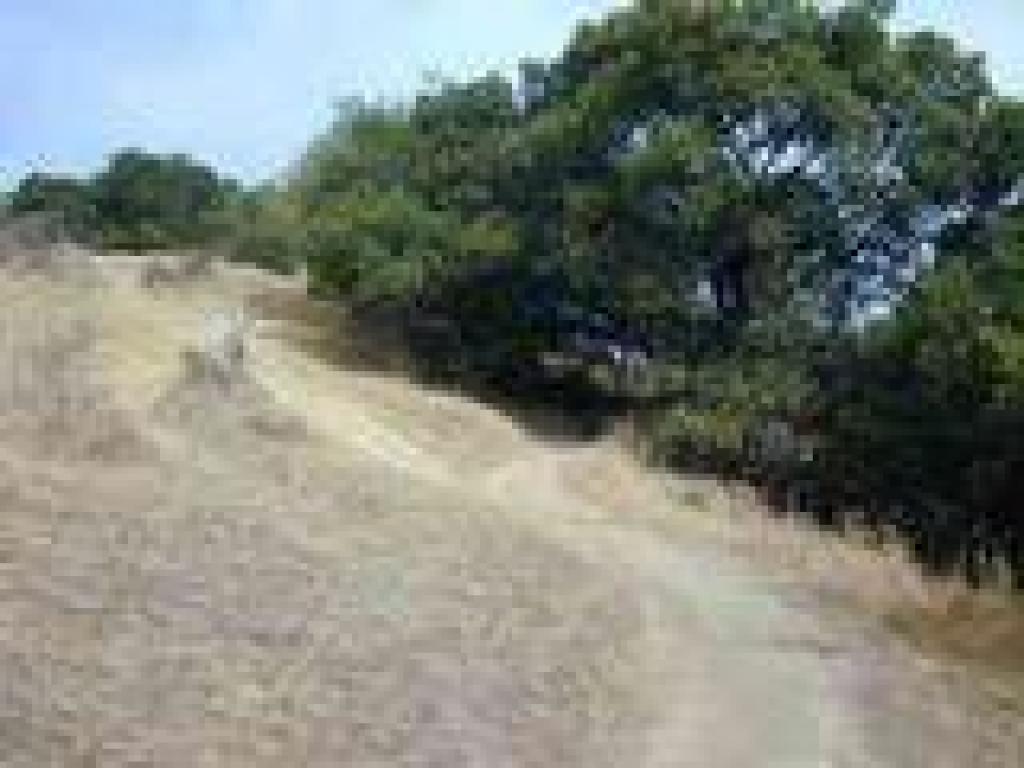 Switchbacks
