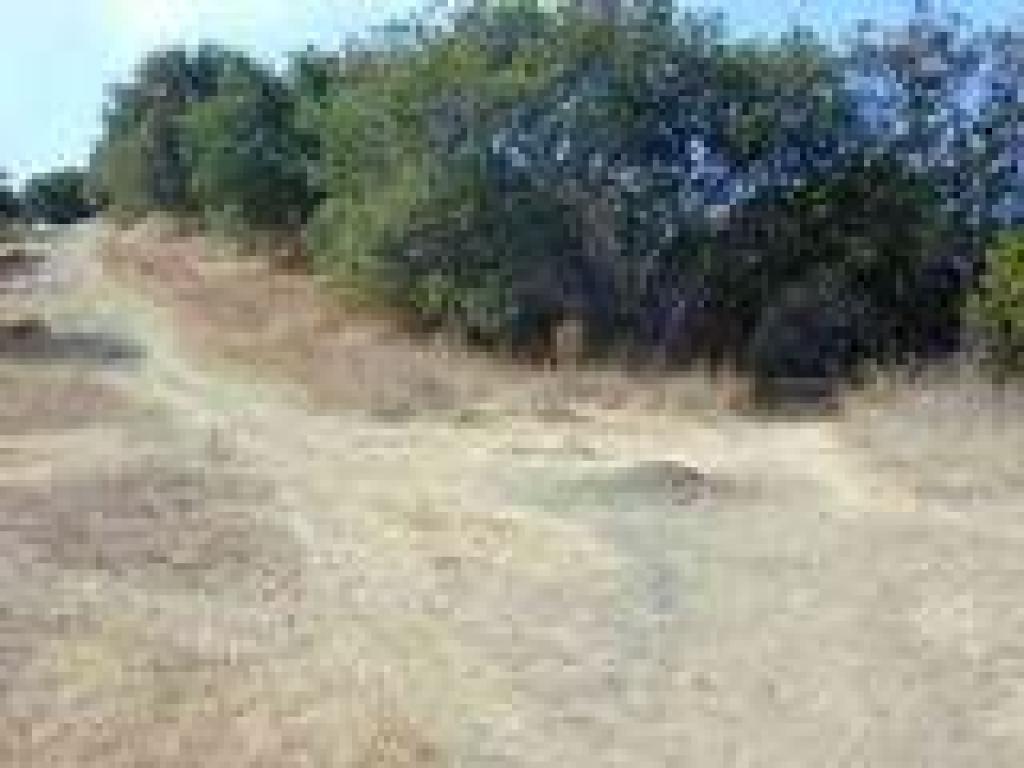 Junction