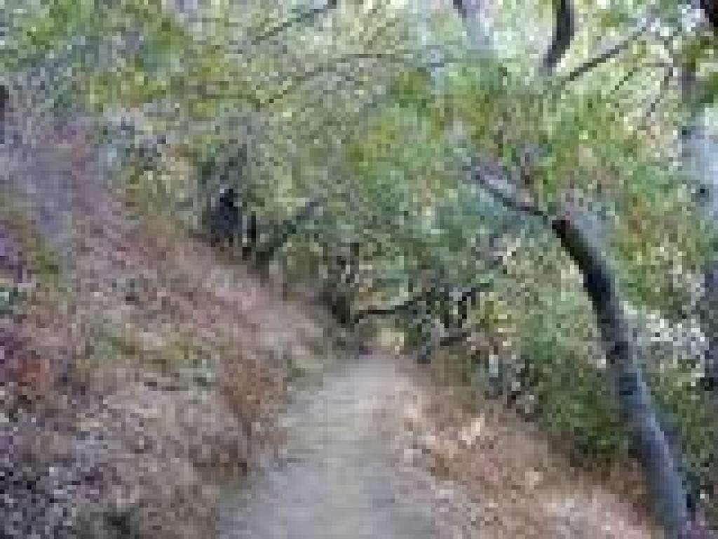 Bays mark a seasonal stream
