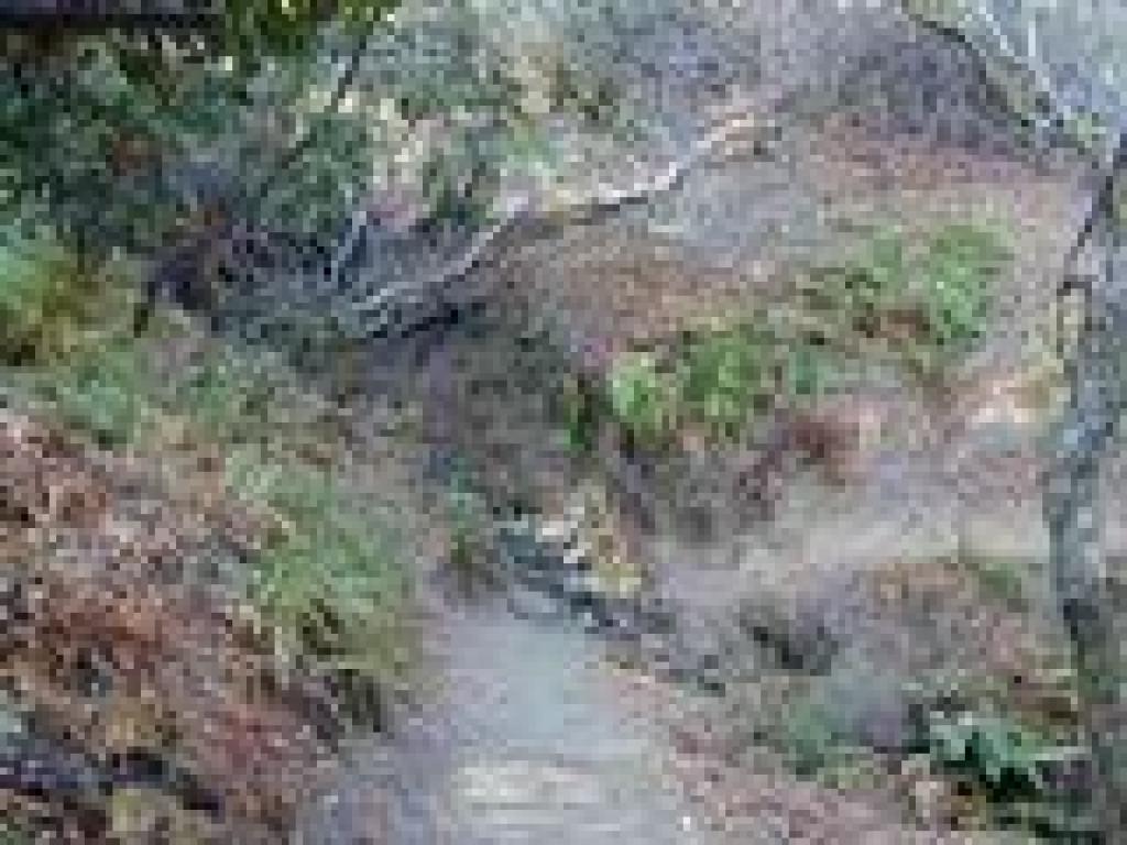 Creek crossing