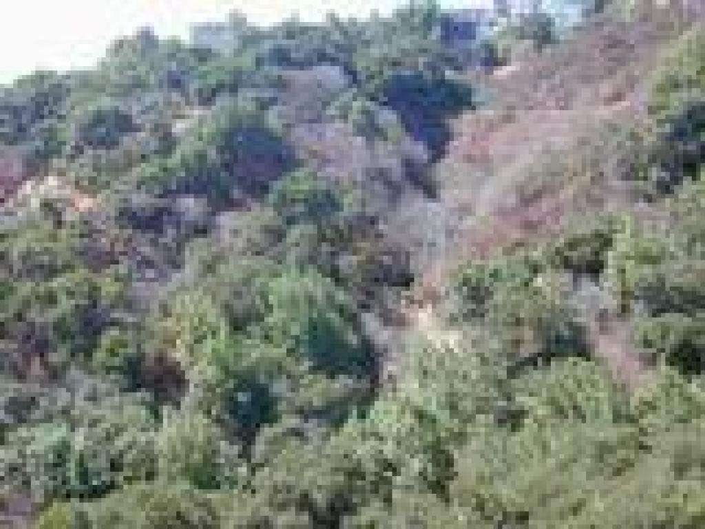 View across the canyon