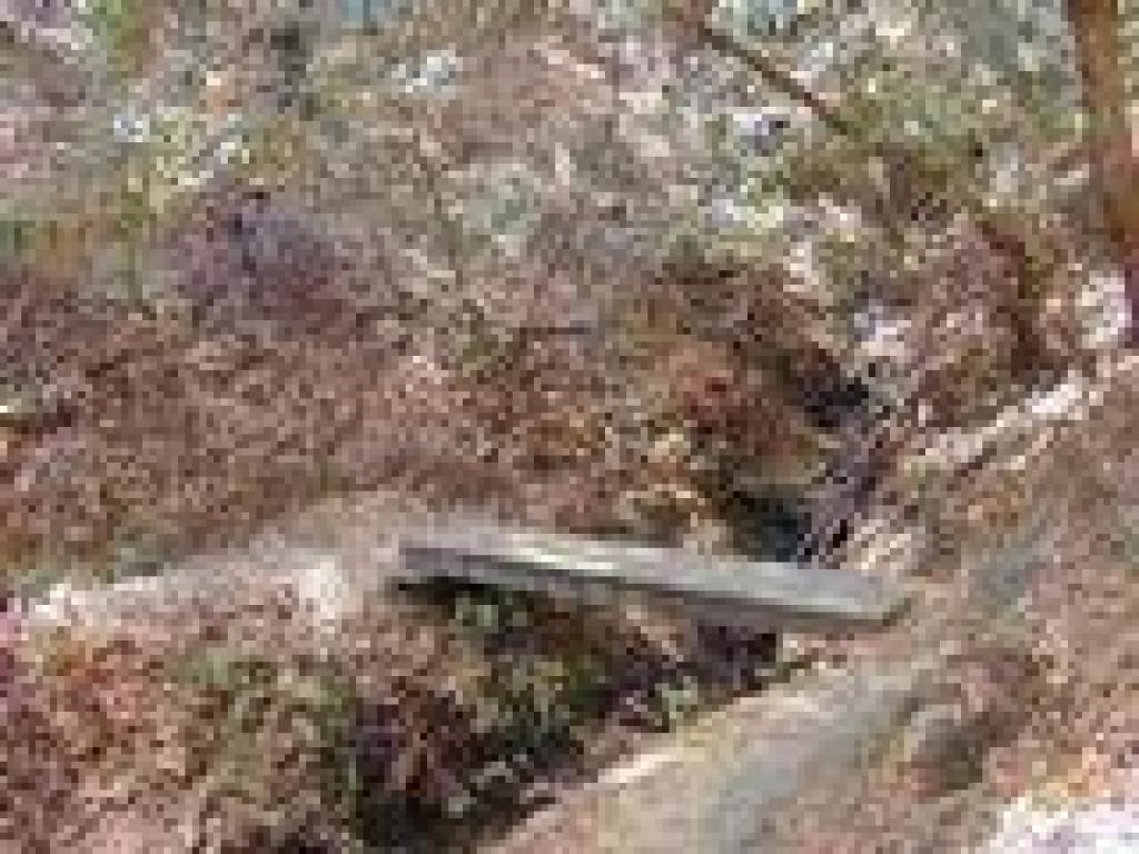 Bridge