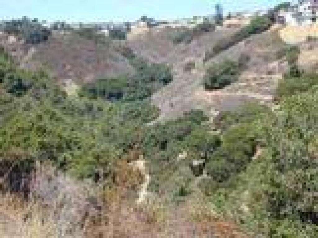 View to Big Canyon