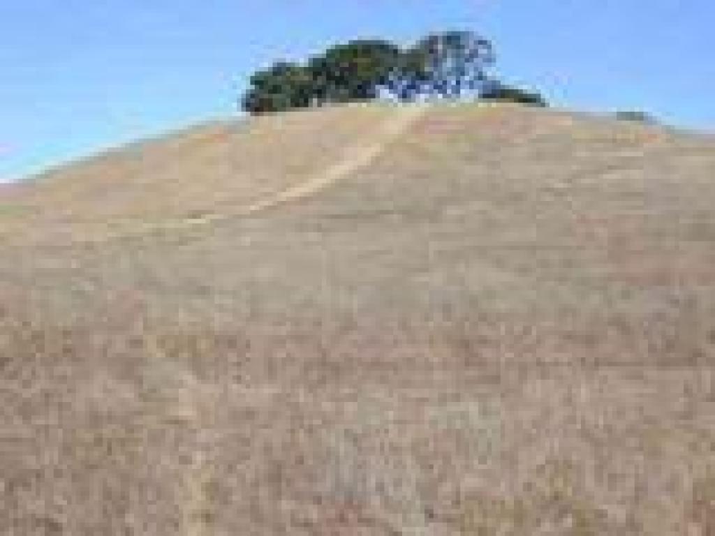 View to preserve's highest hill