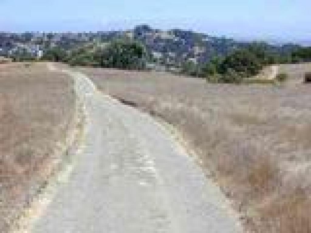 Descending on the Service Road