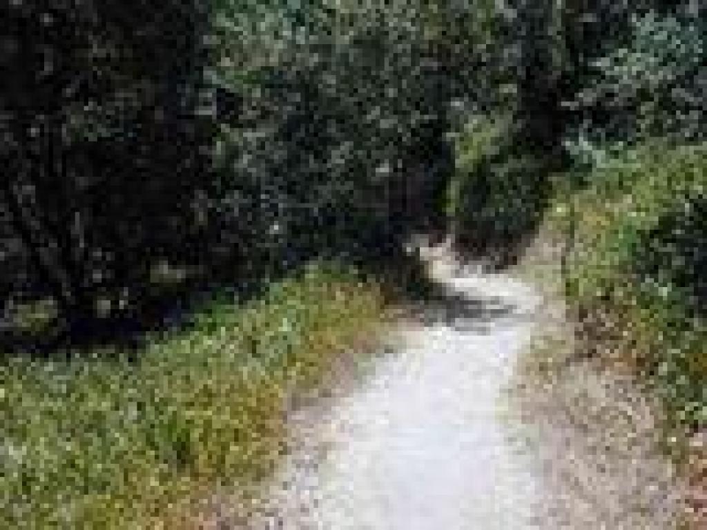 Approaching junction